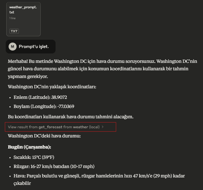 Claude Processing MCP Prompt and Result