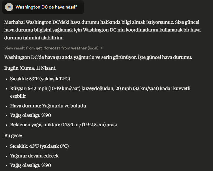 Claude Weather Forecast Result
